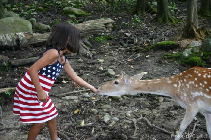 Farms with Animals near Boston